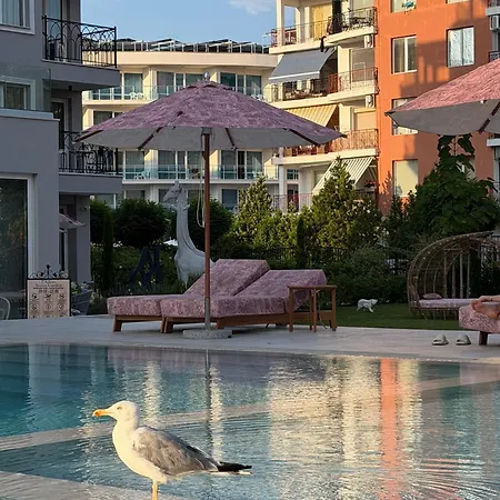 Near The Sea At Jadore Secret Garden Daire Sunny Beach